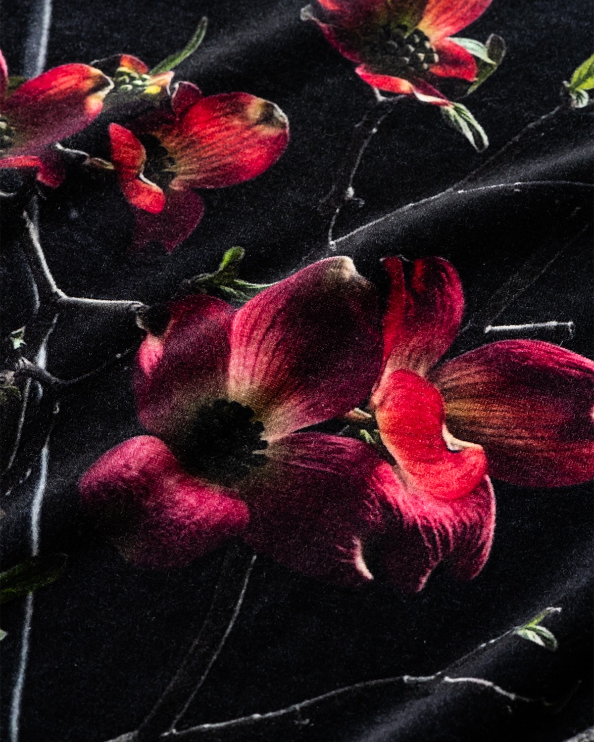 TIGHTBOOTH PRODUCTION DOGWOOD VELOUR L/S SHIRT