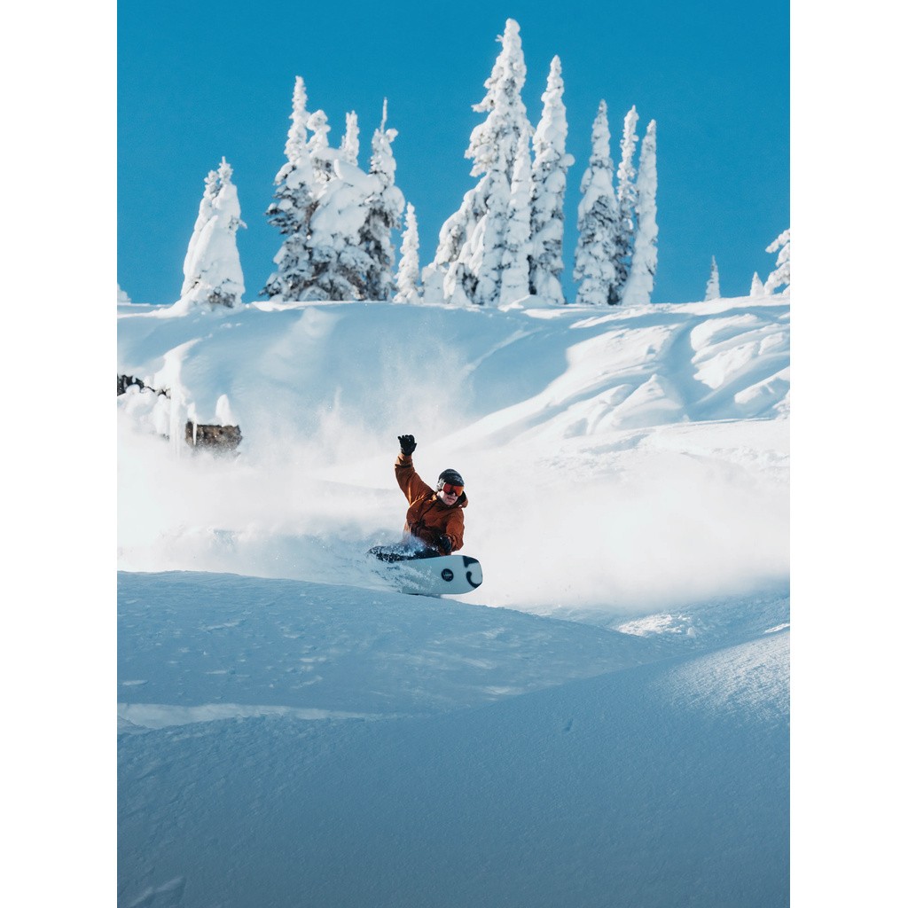 BURTON ファミリーツリー ホームタウンヒーロー キャンバー スノーボード Earth