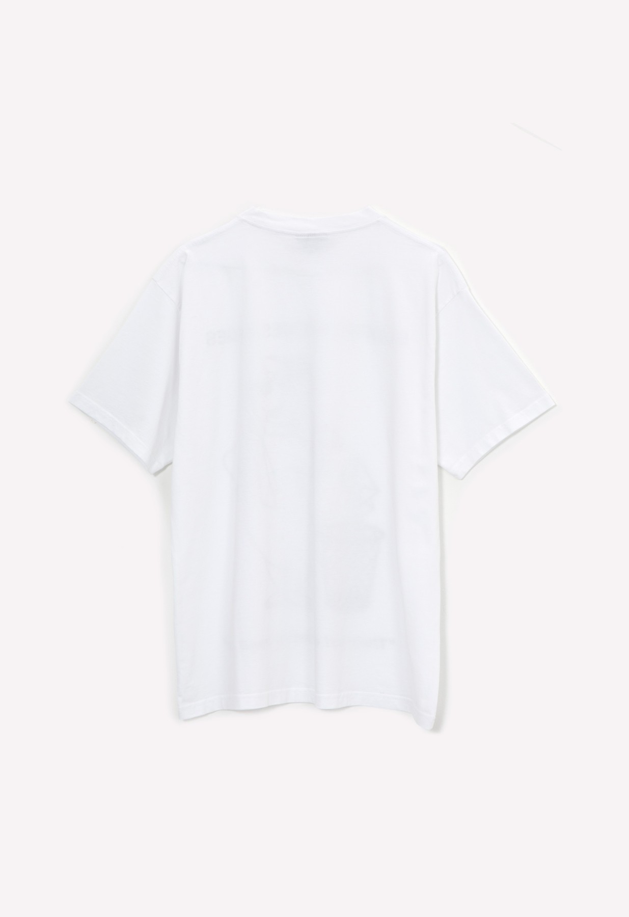 PUBLIC POSSESSION EMAIL T-SHIRT