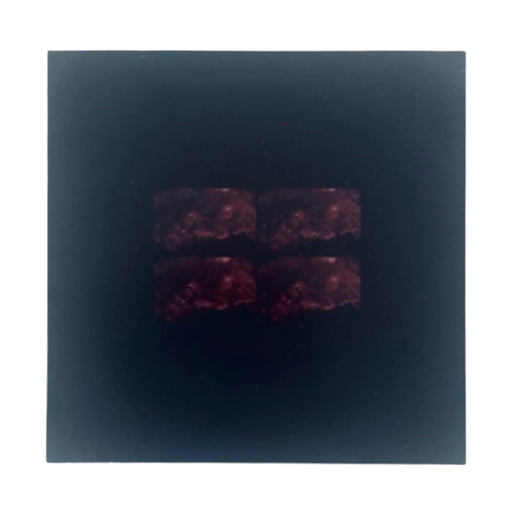 400BLOWS 日常身体の身体表現行為モデル (好世界) DVD