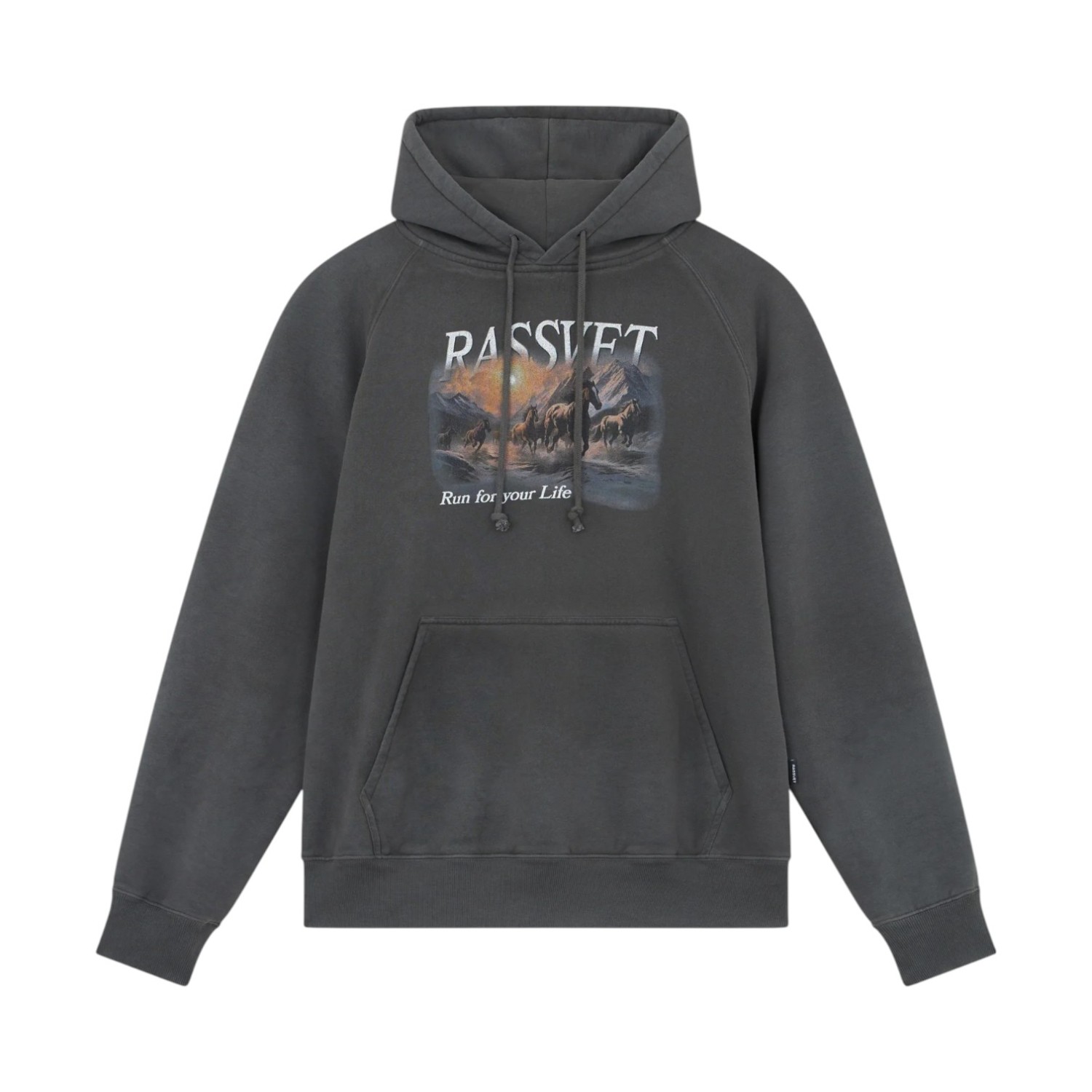 RASSVET HORSES RAGLAN HOODIE