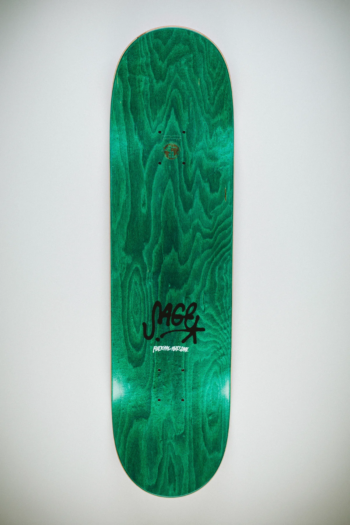 FUCKING AWESOME SAGE ELSESSER-CLASS PHOTO PAINTED BY SICKID(SHAPE2)