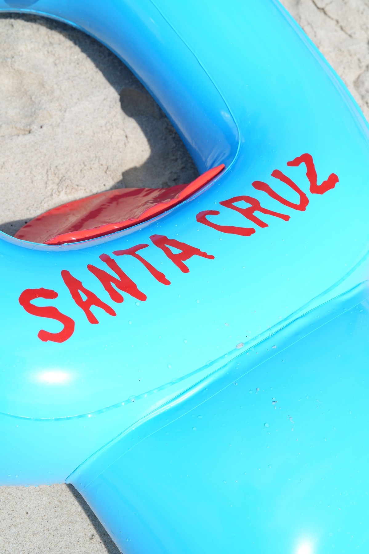 SANTA CRUZ SCREAMING FLOAT
