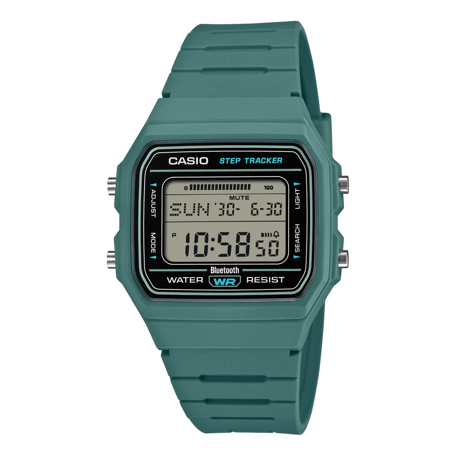 CASIO F-B100W-3AJF