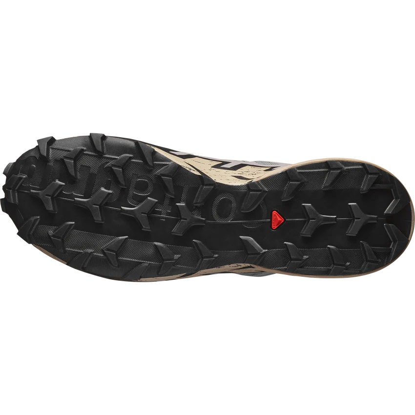 SALOMON SPEEDCROSS 6 GTX