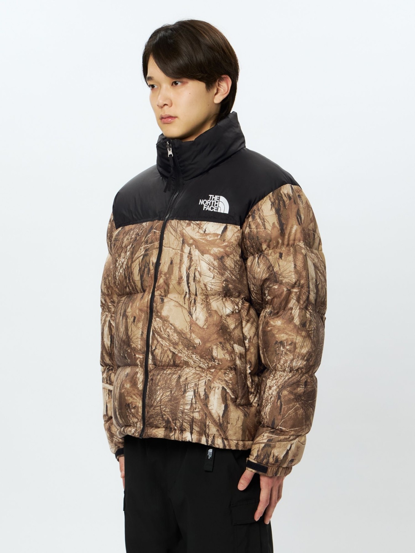 THE NORTH FACE NOVELTY NUPTSE JACKET