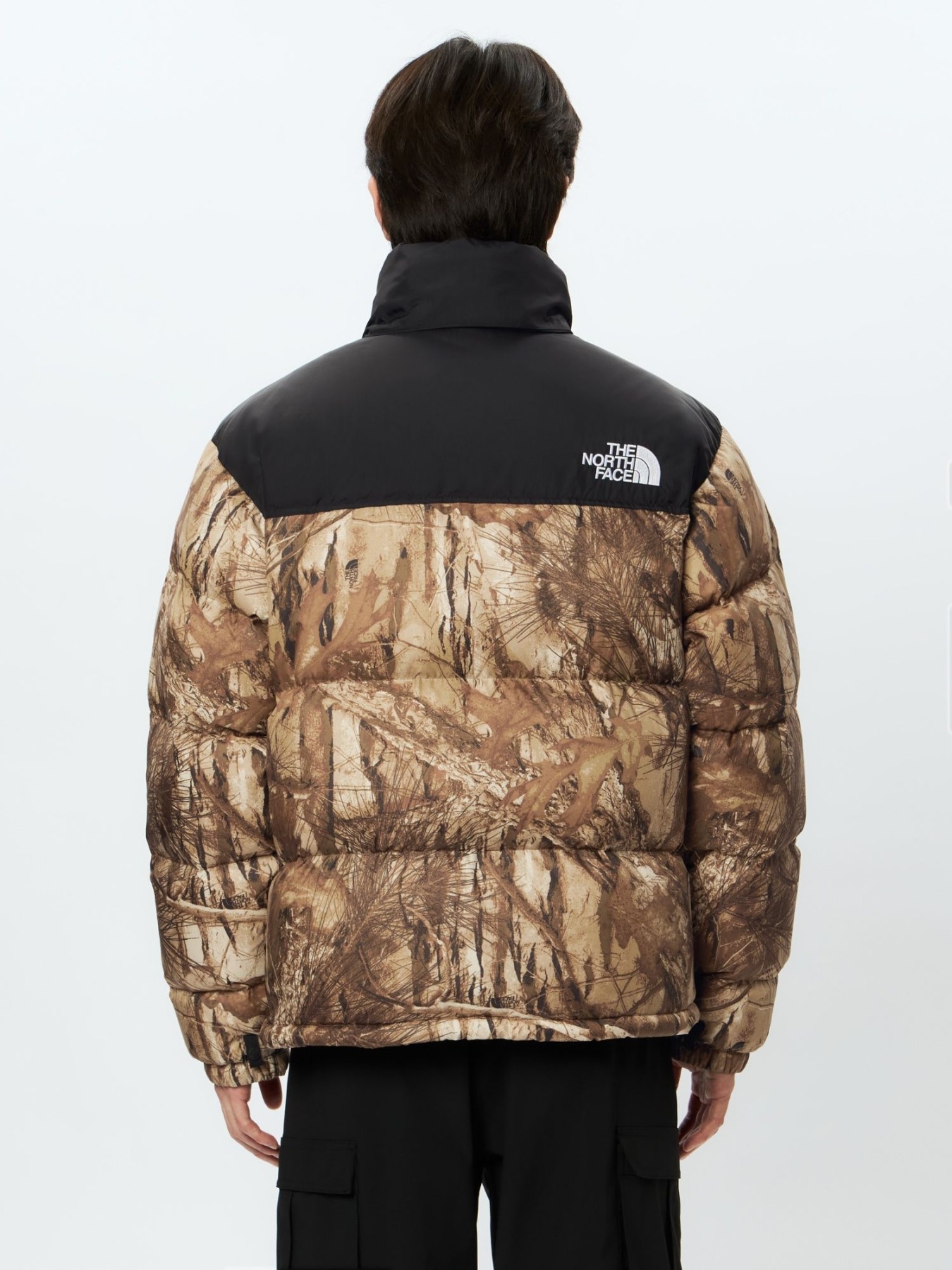 THE NORTH FACE NOVELTY NUPTSE JACKET