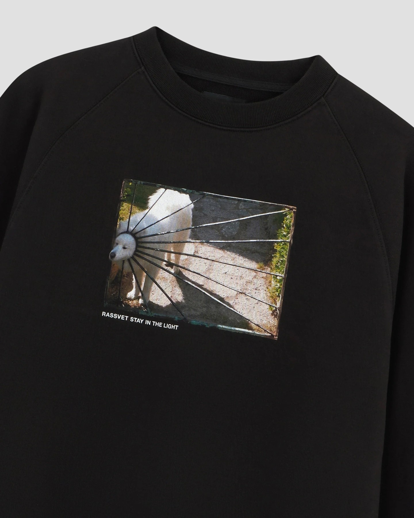 RASSVET DOG LOGO SWEATSHIRT