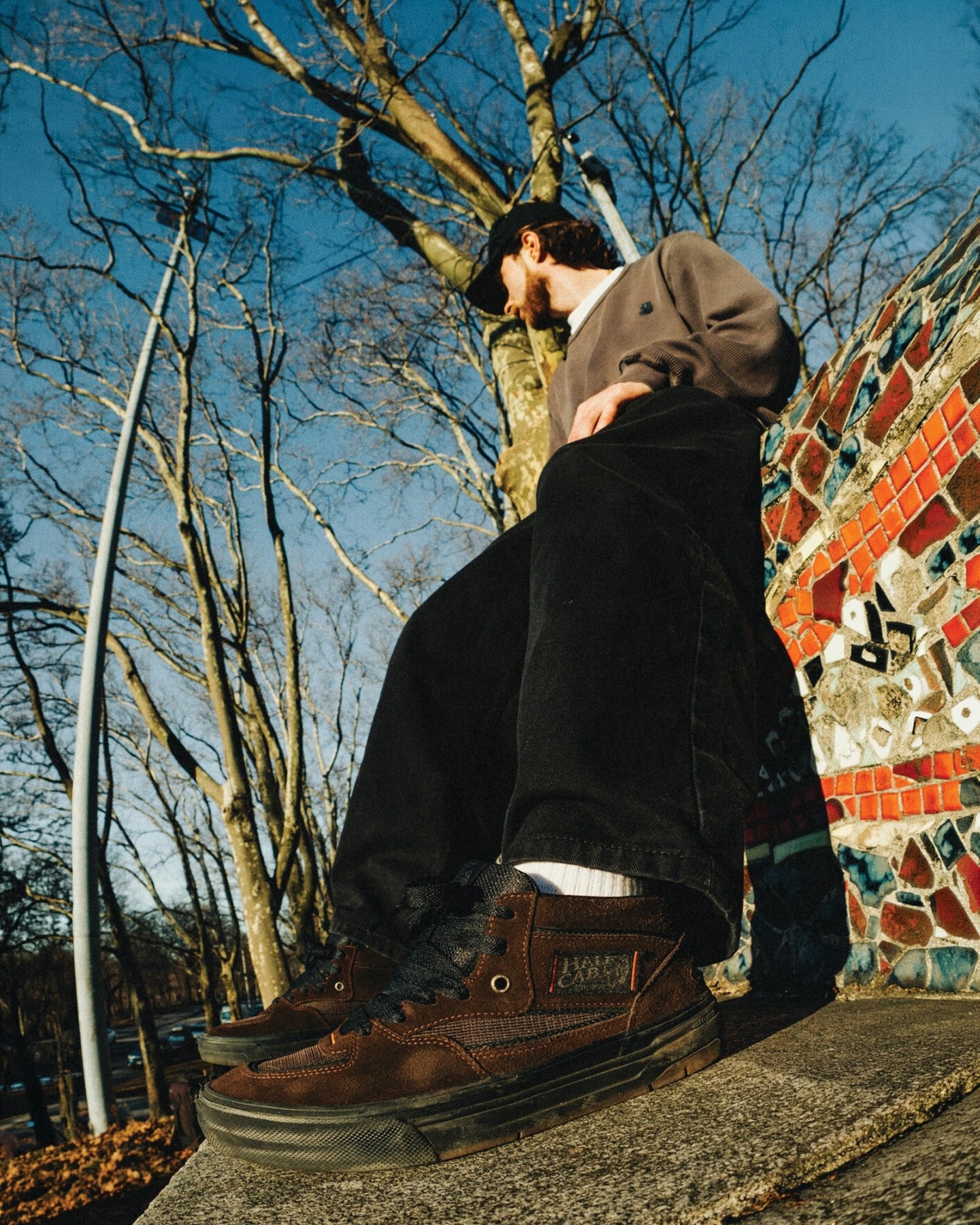 VANS Skate Half Cab Wafflecup Rizzo