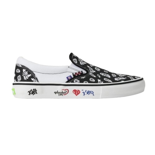 VANS SKATE PUNK&YO×SLIP-ON